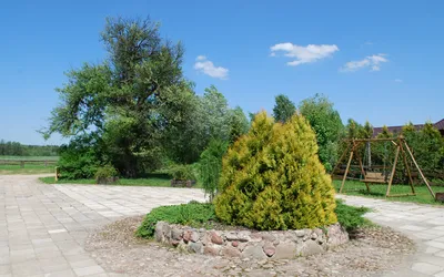 Galeria Domu Seniora Atos - zdjęcie 15