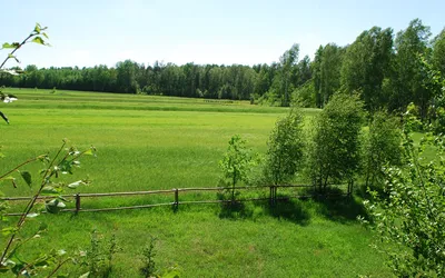 Galeria Domu Seniora Atos - zdjęcie 16